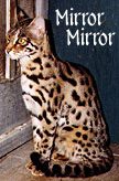 MILLWOOD MIRROR MIRROR